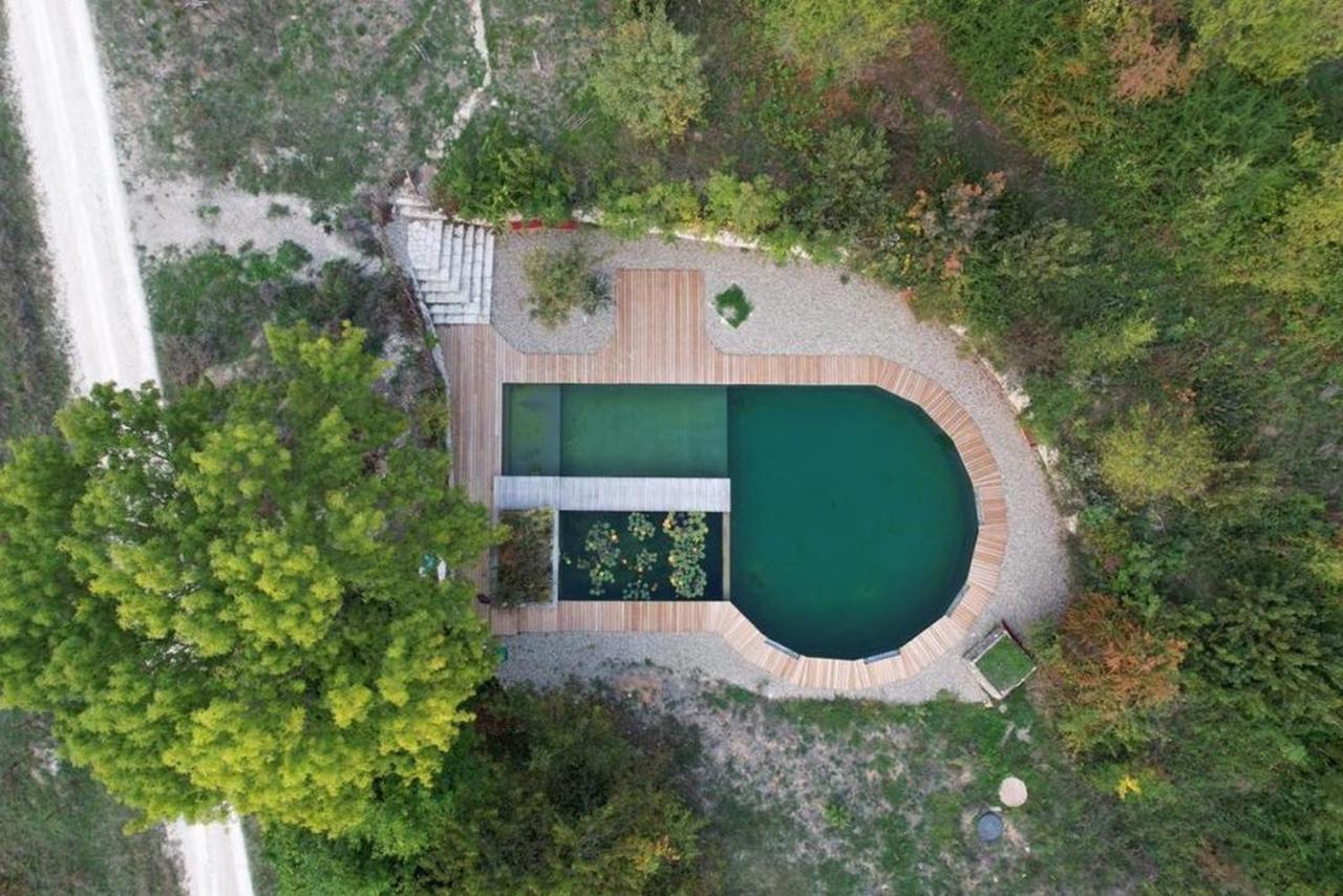 Maison Terre Les Cabanes De Fallot - Sauna Bain-Froid Piscine Naturelle L'isle-Bouzon Extérieur photo
